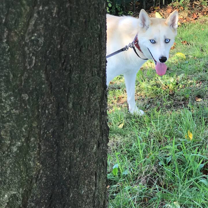 192ae439 59bd 4530 9807 2ed86f8f3e6f 1534198831557