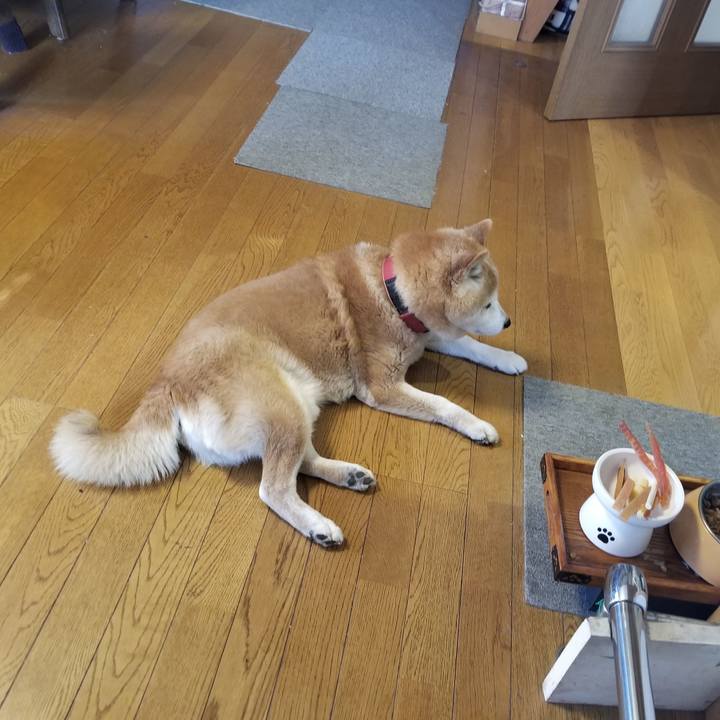 192aefc5 fbcc 4ca6 80b7 364054706b52 1744239432848