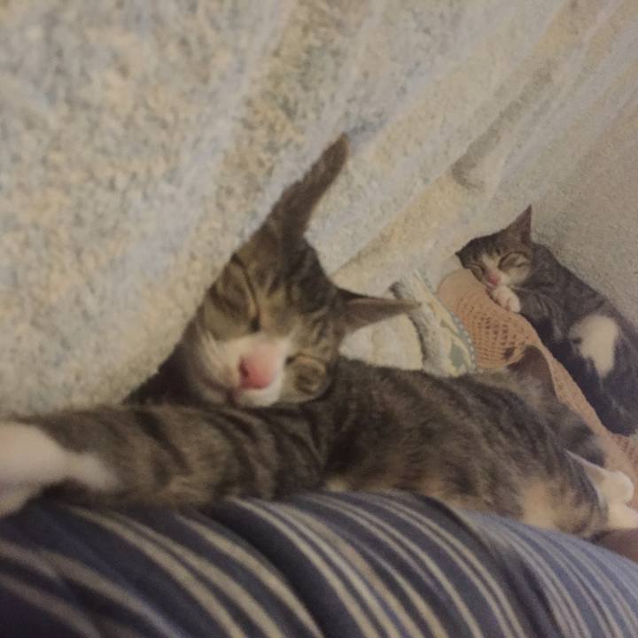 192af8df 334c 4208 9d85 923ee085ace2 1656697900123