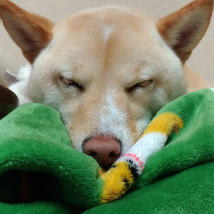 192b178d 0d5c 4197 9cf0 5e7b7b77e740 1521803768763