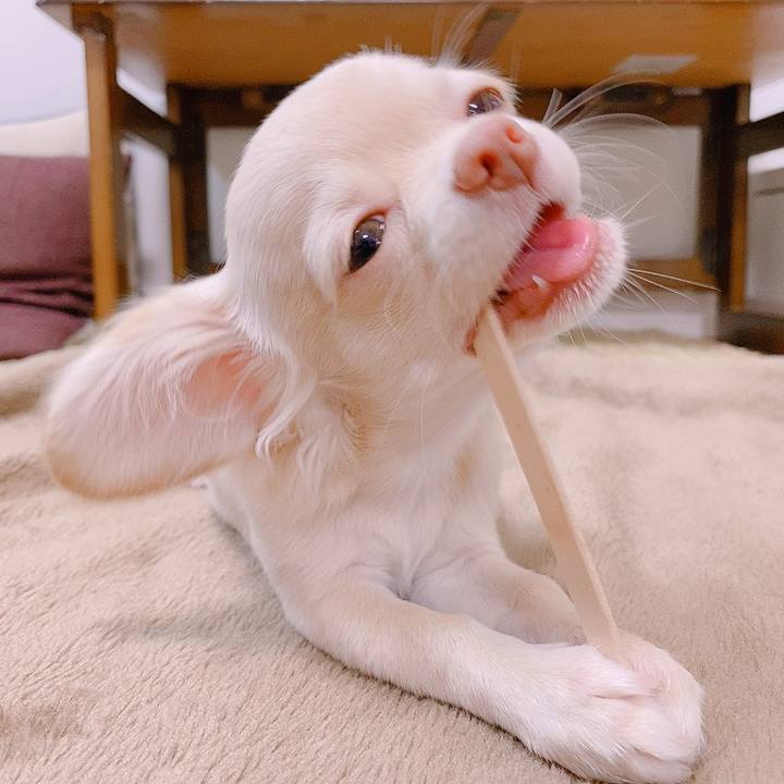 192b52b0 4b95 46b6 8a66 6d6c4a5f7e21 1594632205641