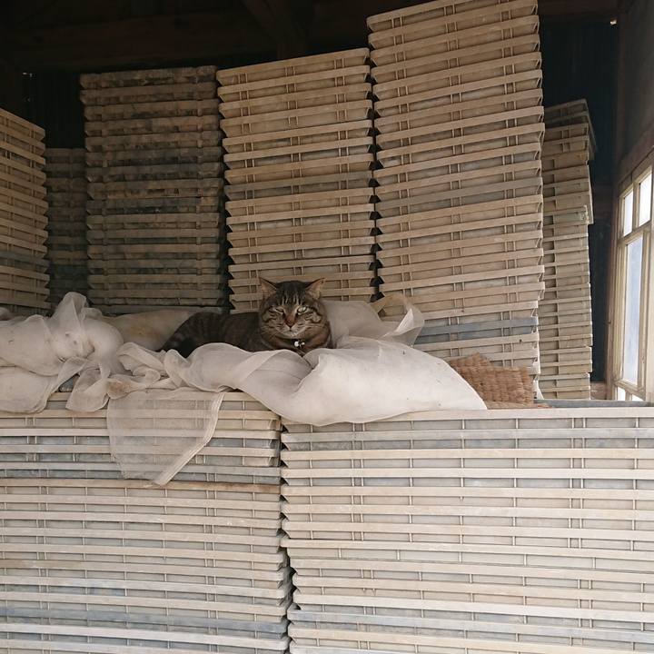 192b5aef 196b 466a 9c7c a7ed6b6578fd 1650252179345