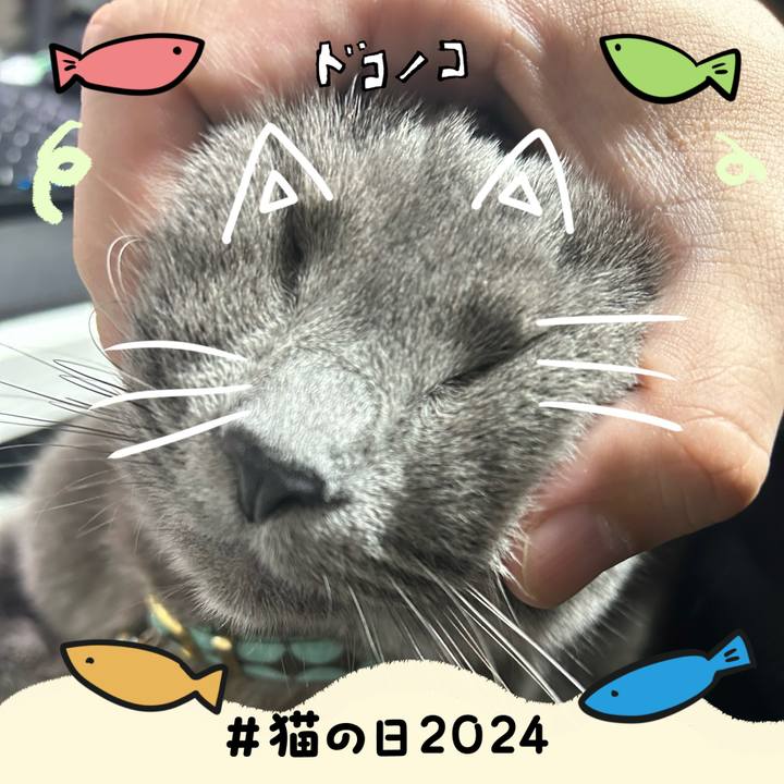 192b64b9 108f 4ed7 be88 4077c7b90906 1708585420466