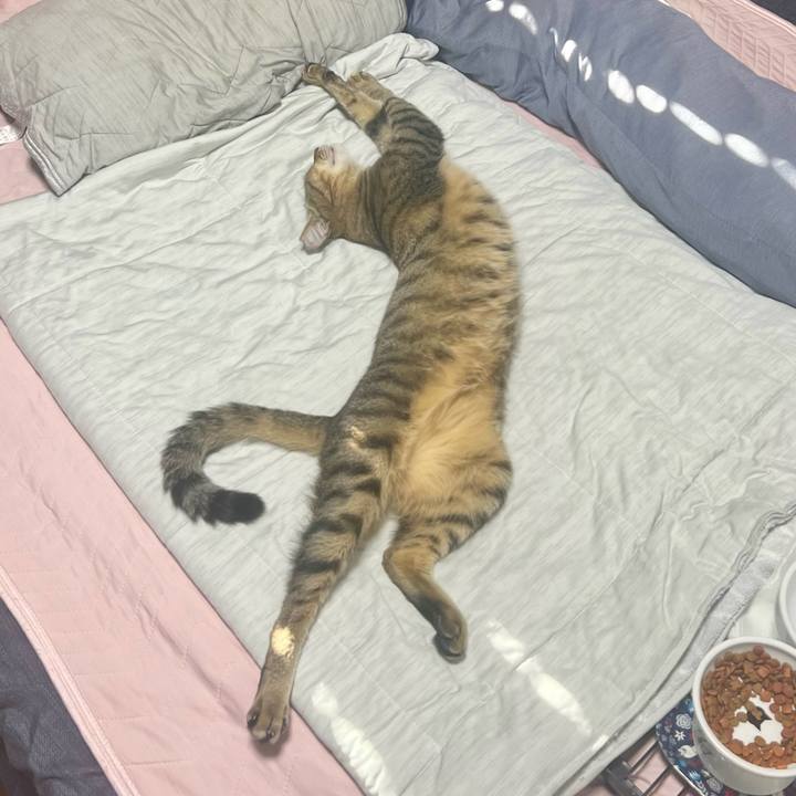 192b6960 a273 41c6 8e25 b32163f8c95b 1760707402830