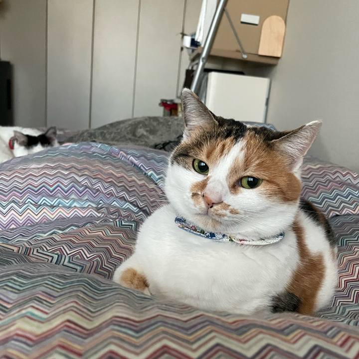 192b6d4a 6247 453f 81de fb63721deed5 1704857505029