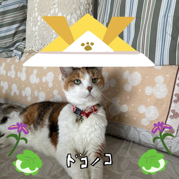 192c2aa6 2c84 4bd8 a304 90d4f2a2adb9 1714980093245