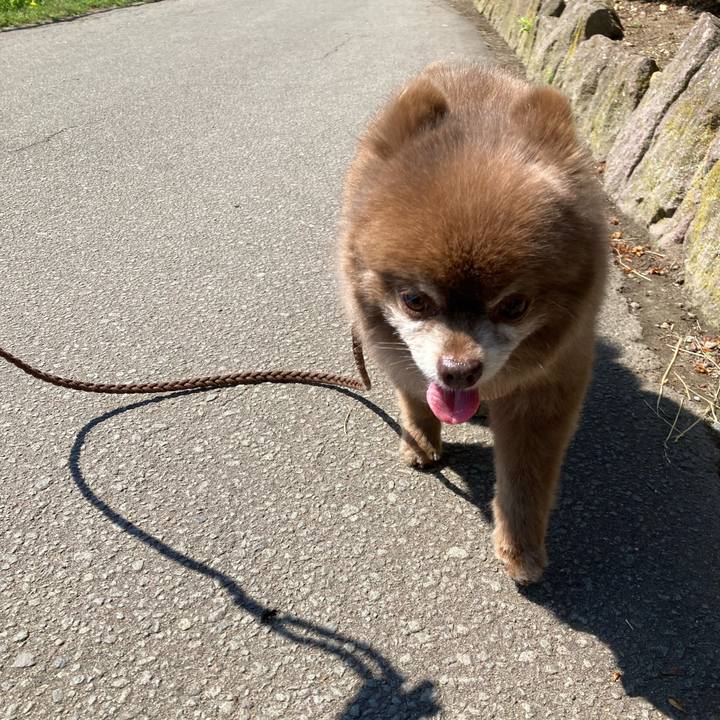 192c7387 7cc5 4525 9f1d b09f7bff7539 1655697356854