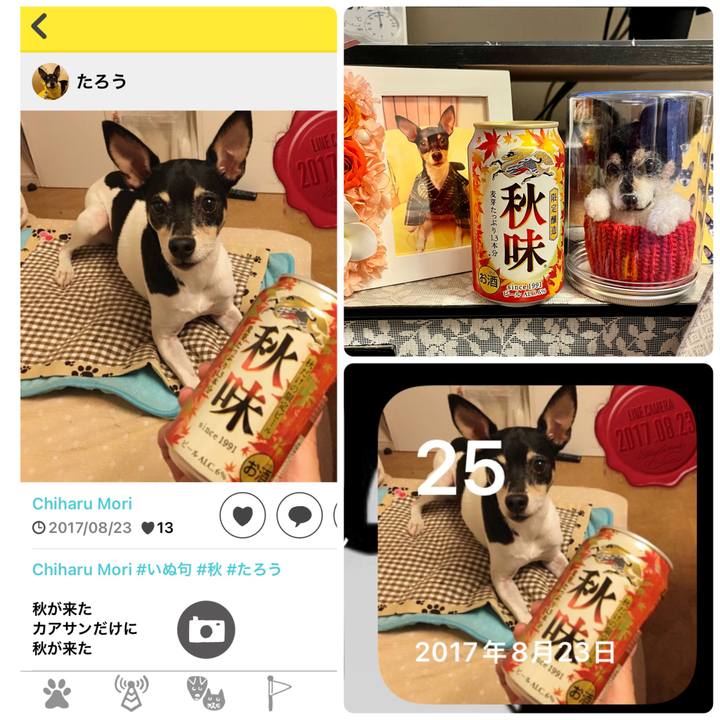 192c745a 0d56 4b26 9467 79236883154d 1661426370525