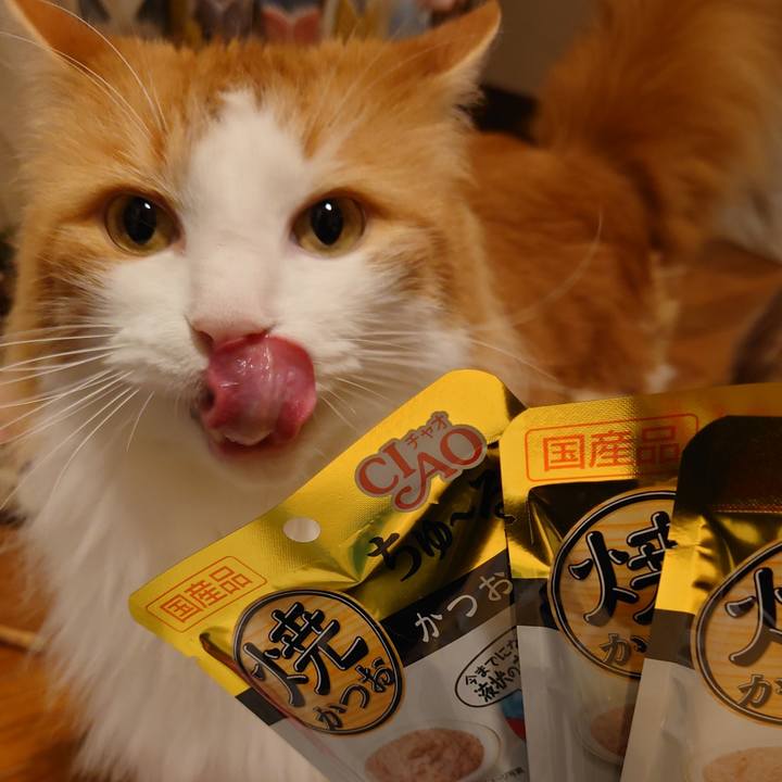 192c7ac2 3b8e 4f5f b541 52d3d05775f1 1593355627611