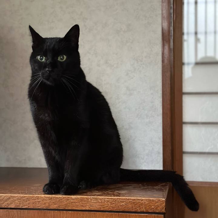 192cd651 c739 4c60 8c9d b655c8d0a81d 1674870021459