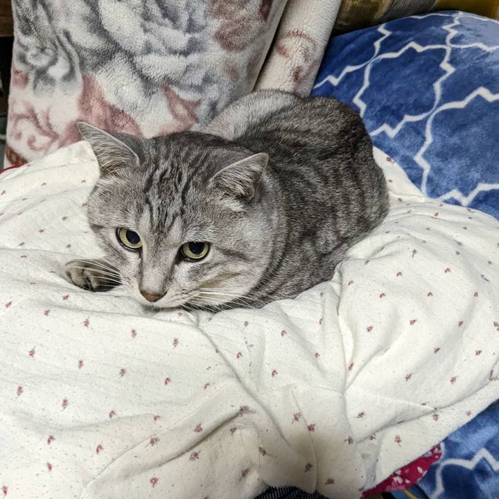 192ce0a3 1e2f 485e b192 3bf190aa4ec3 1699780483744