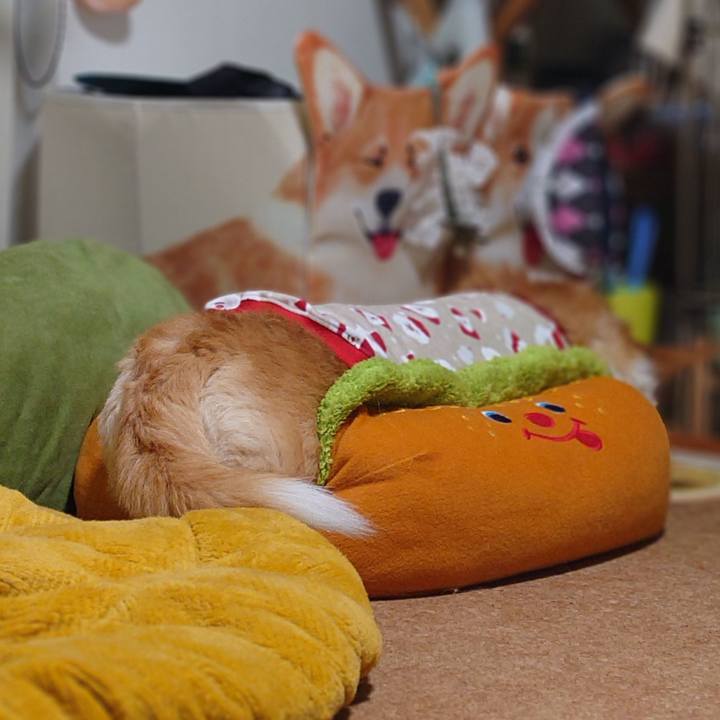 192ce5a2 7894 4e66 b360 896a00f349f9 1766496396342