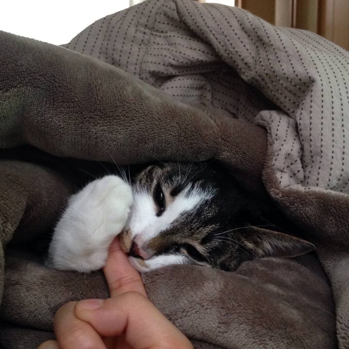 192d42c9 0a69 465e 895e adea6b7c67f7 1510106786720