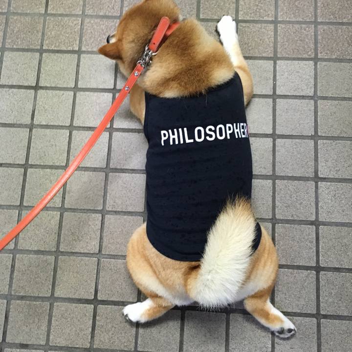 192d5c3d 0b07 4143 a5ba 80994c762462 1566593848072