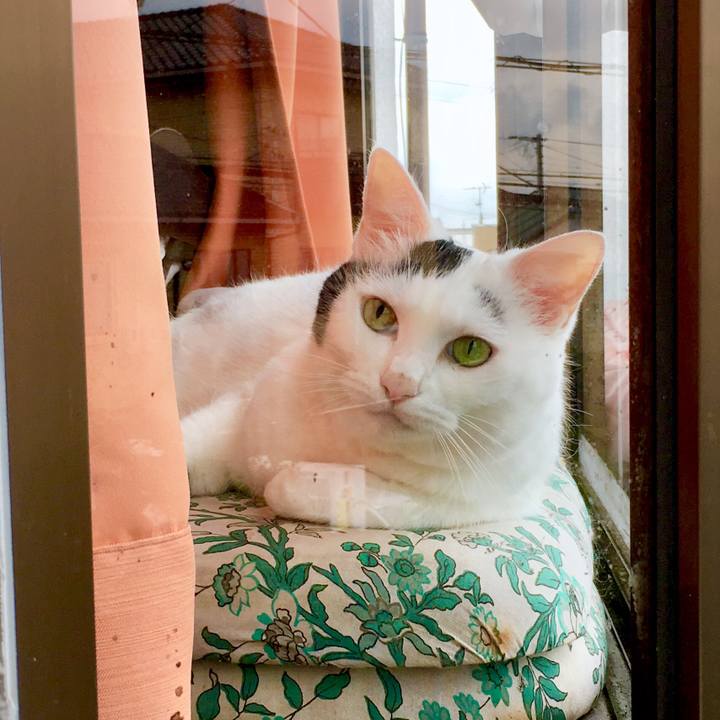 192d7088 ec5e 4d61 b9f4 e39e72421398 1567396010192