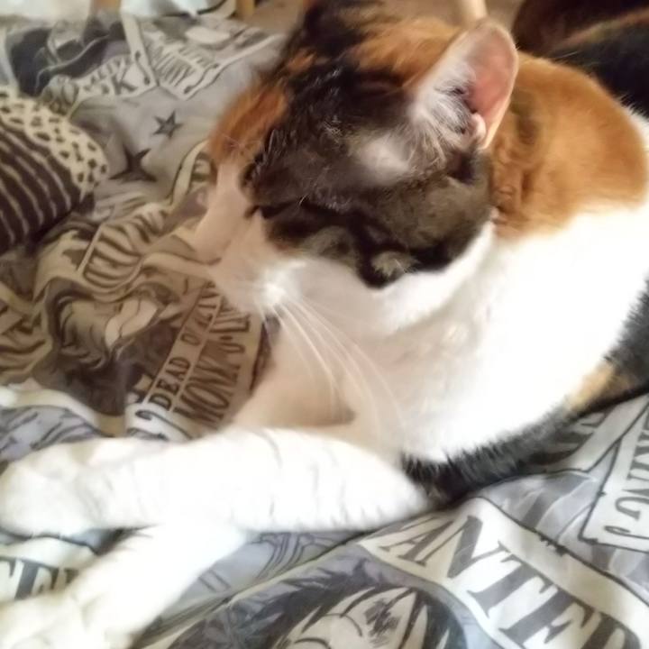 192d744a a70c 45e3 b499 34cdefd939f2 1569732370791