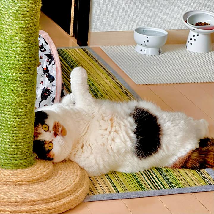 192d957c ec2f 4410 b4c0 c6108b9fed78 1691110723857