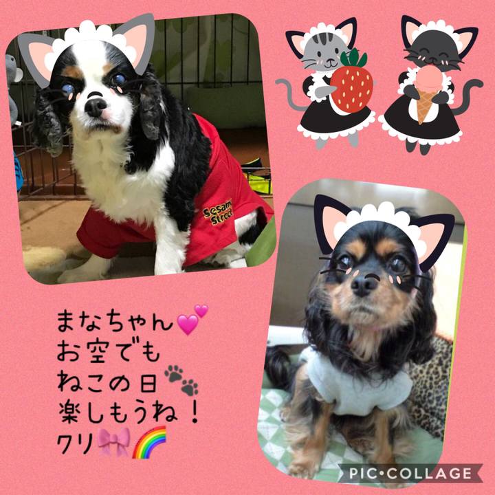 192d9f2e d3f1 4a09 8e0c 9c5a2a56a8d3 1550843328315