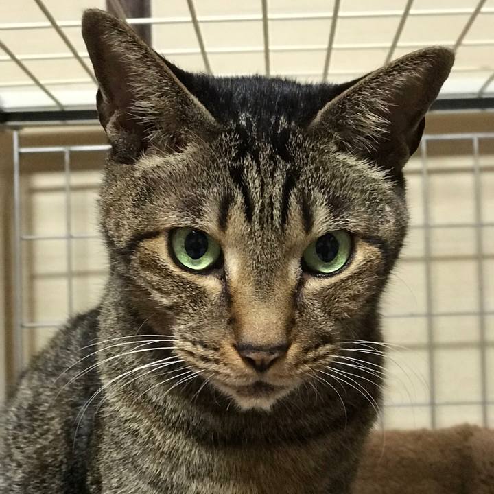 192daa8f a36b 4393 9ff7 aaca5966a22a 1512350860375