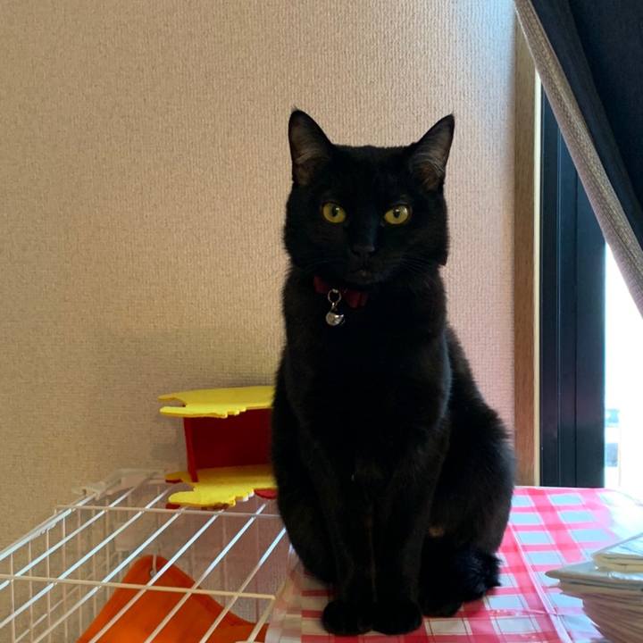 192db4c4 05c4 426f b099 b1ce4152164a 1586747876645