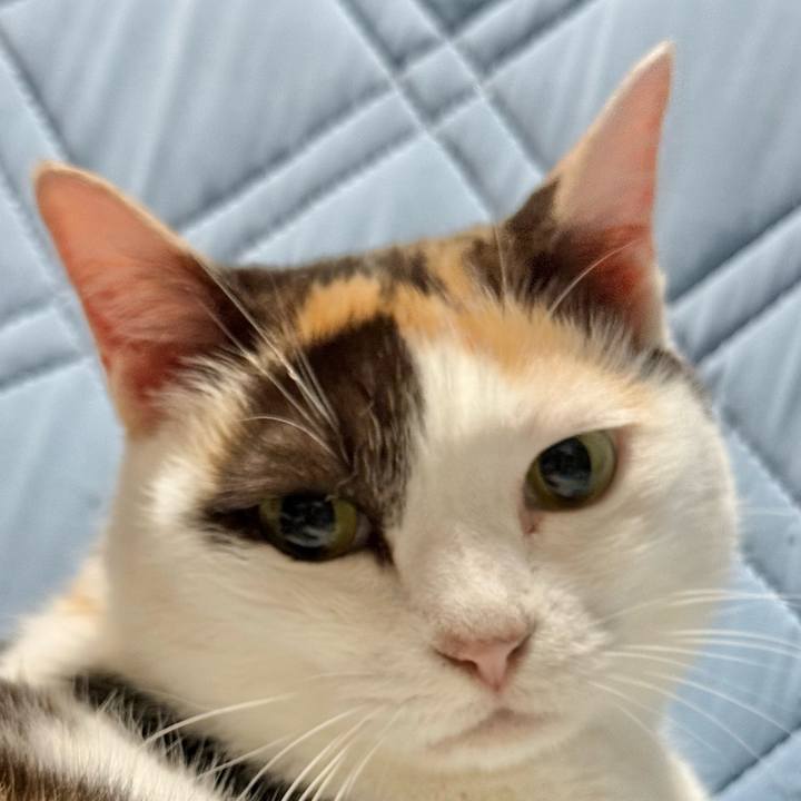 192db755 101c 4082 b1a2 fb353a7a22b2 1751335677448