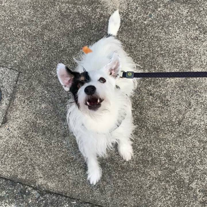 192dba9b c2fa 4f5c a362 8c8d1fae4265 1695684241523