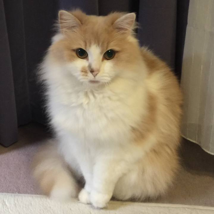 192dc599 b2e6 4b44 9d1f 34c20e1b8e42 1533309434817