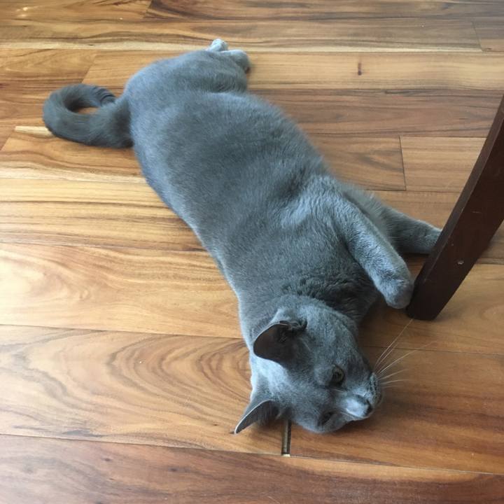 192dff75 68bd 48e7 ba3b 255f63cac72a 1659485272804