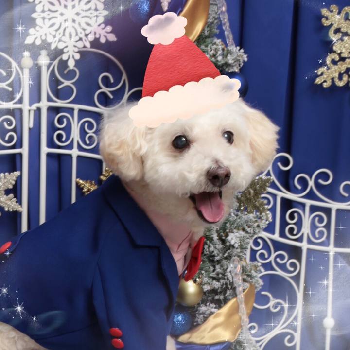 192e525b 0c2b 493e b210 632d0347d7d2 1640162588732