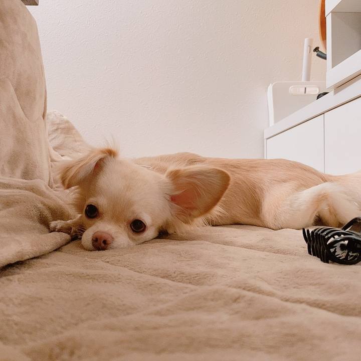 192e857f bf4e 475a 96c2 c09bccc9e374 1614932338757