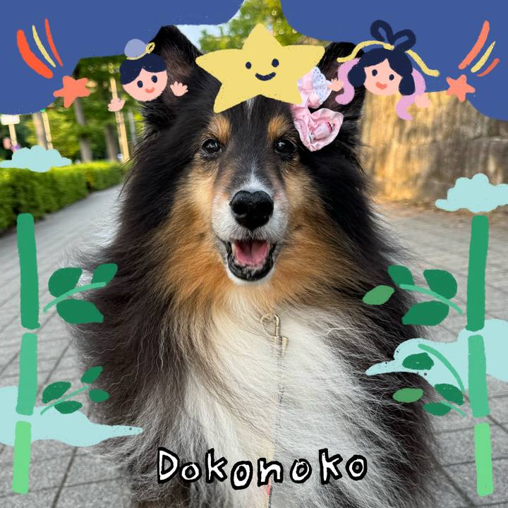 192ed714 45f2 4d87 a19f 5be41d800212 1721327414083