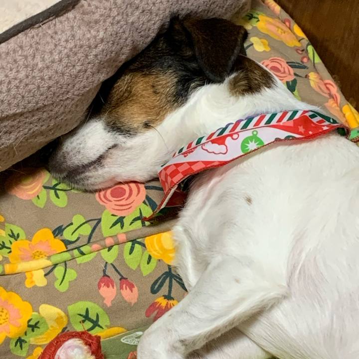 192edea1 eef7 4f72 9d49 64280468ef2d 1577097501630