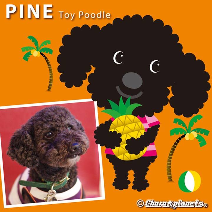 192efac4 7a1c 4e5b 9c80 f99f824625ed 1565488940380