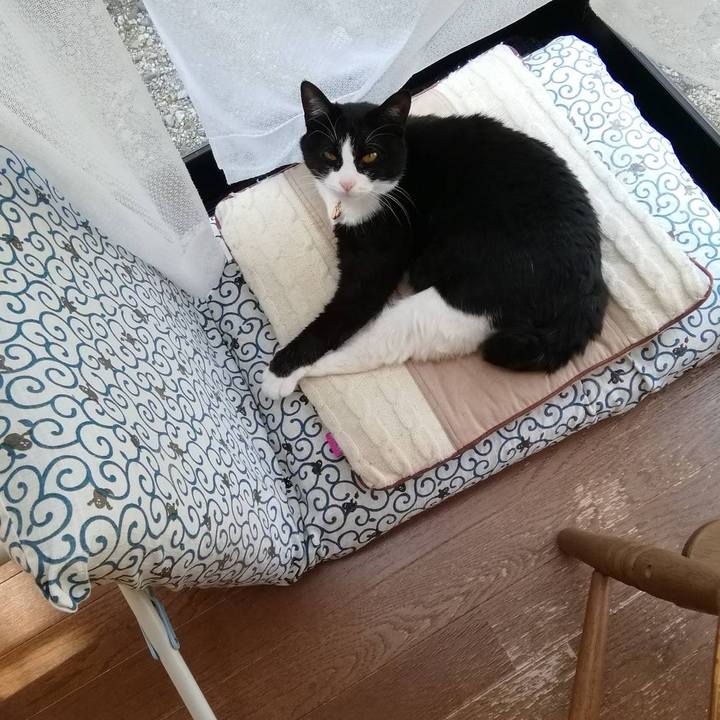 192f0cd7 c780 4ebf be01 a83514106384 1554692459178