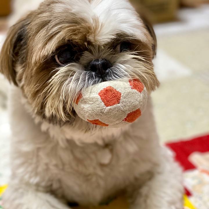 192f1f98 0a14 4dc7 8057 08a6fbc780da 1599732600977