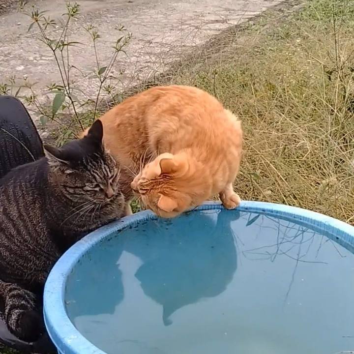 192f61fd 1433 4dc7 a906 f5f023290266 1664487667585