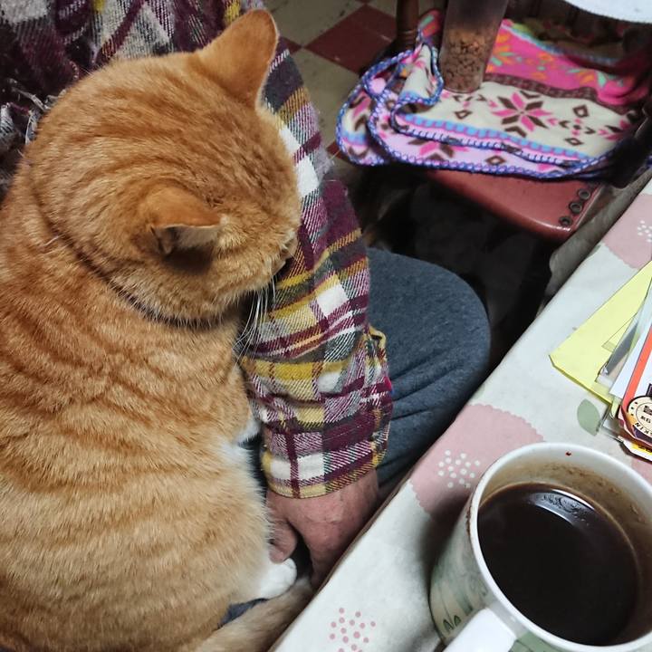 192f640b 0c9f 4cfe a157 7646e6d5855e 1575834472630