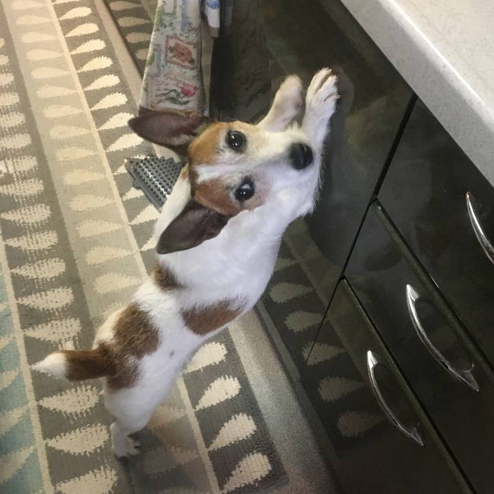 192f6698 95dd 46c2 acba 0cc41d78346c 1623459882789