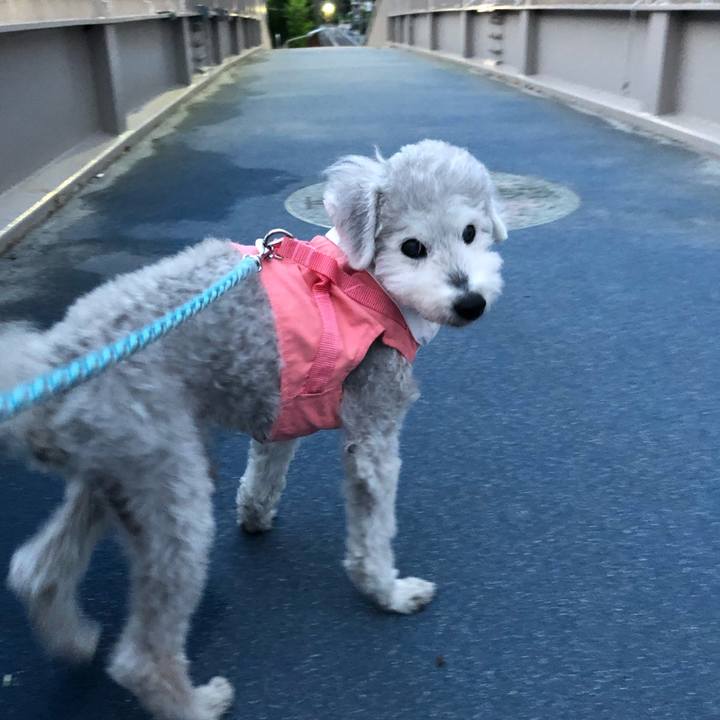 19300159 6ada 4f6a b00a c18e9561e752 1678535090300