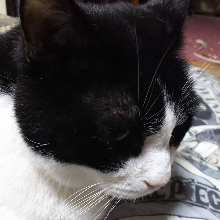 1930111a 8360 46d7 a6c2 18be8619848e 1571780989659