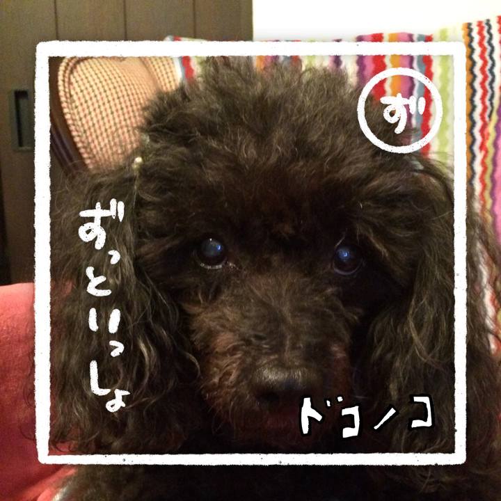 19303dbc 6f2f 422c b578 81718fb6be86 1685979483984