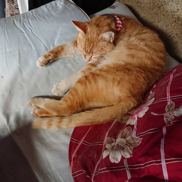 193063b4 8e49 41a3 9e1f 7322b7c9772a 1558851656453