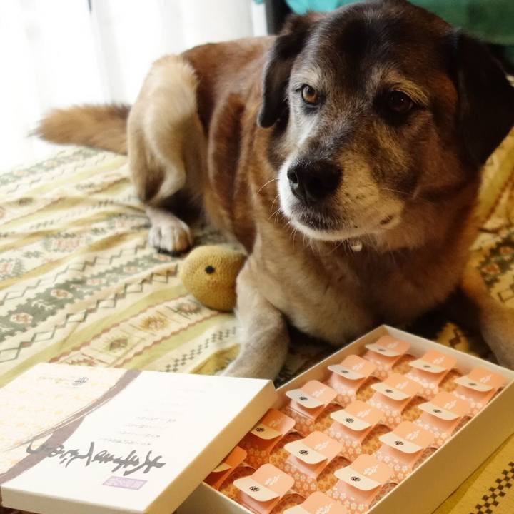 19308a48 1c1d 4f87 8c9a 385fcaad7d36 1546842663326