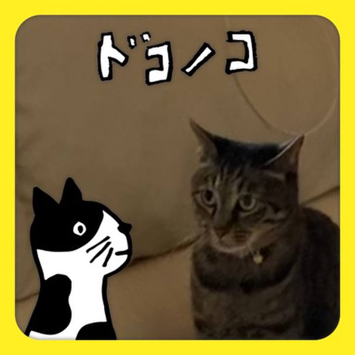 19309aab 0064 4188 bf4a 80c044b34516 1622897426901