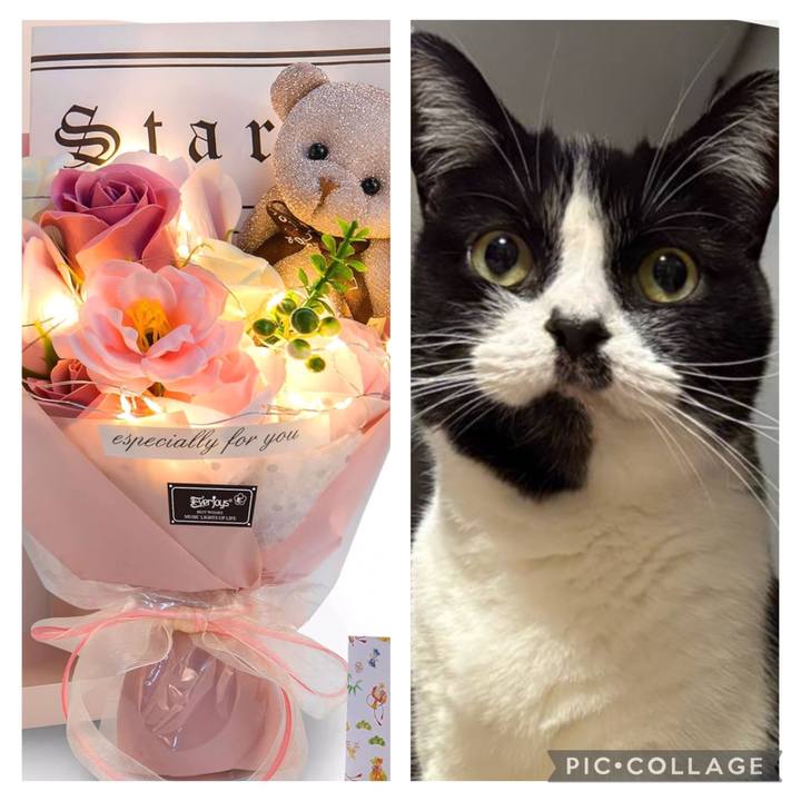 1930d311 c970 4f81 9af7 98ecd52d3cdc 1762901469288