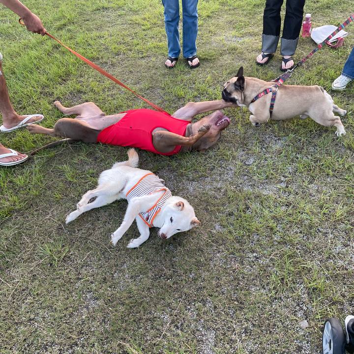 1930e1b5 393c 489e 9c94 6e86b9a408e5 1659443776907