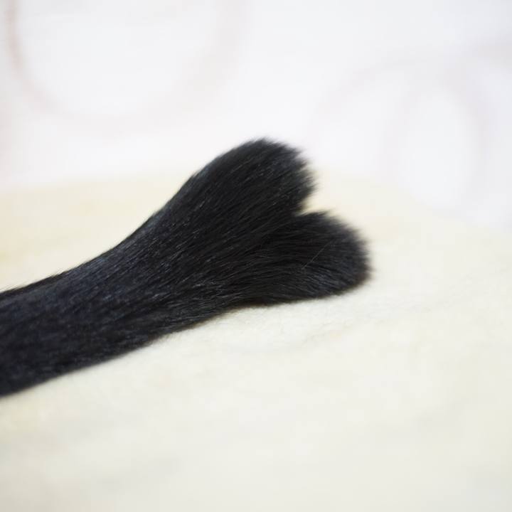 1930fe94 e749 4c55 adac 29f907d0739c 1521761848786