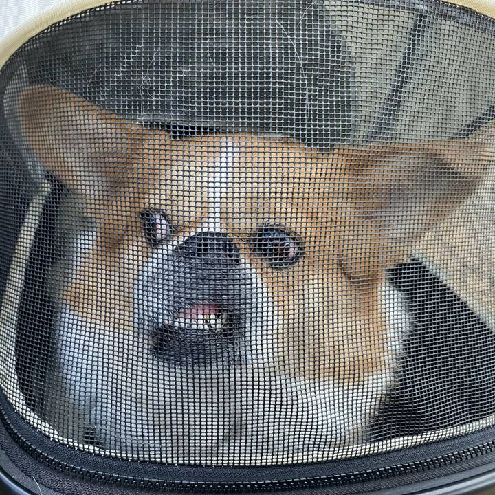 19310575 86a6 4ce8 8587 bef377f360f9 1672387009111