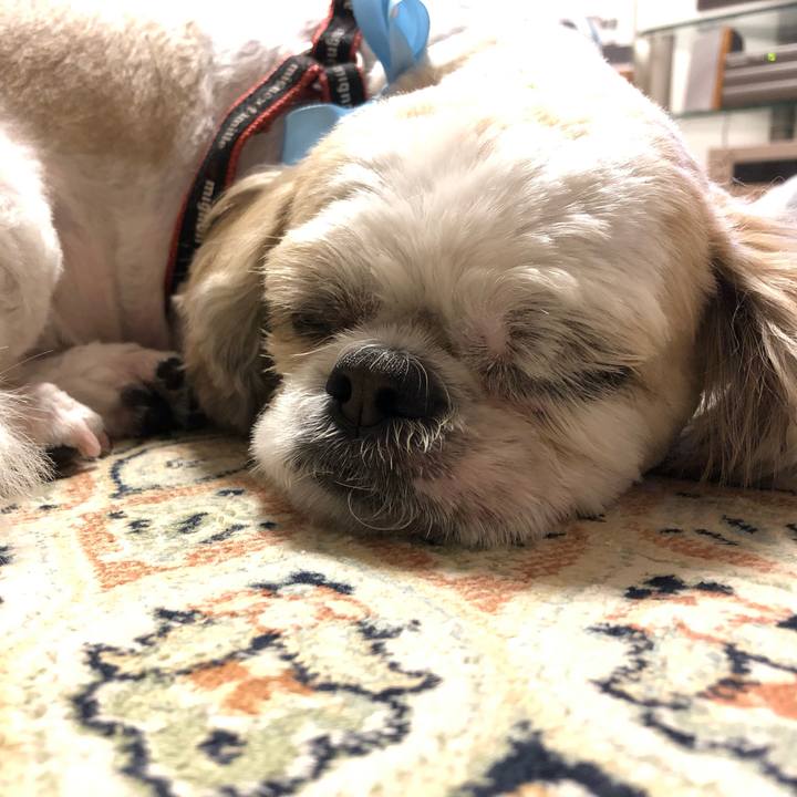 1931146d cf40 492b 9c14 4d08cba5b7c6 1563140848152