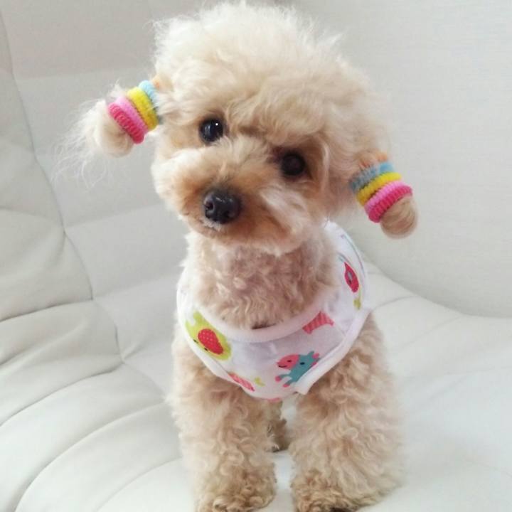 193118b4 737d 4e91 9383 2b0cac3a006b 1530694587591